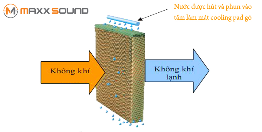 hệ thống máy làm mát Maxxsound