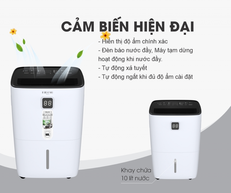 Quá trình xử lý nồn ẩm, ẩm mốc, bảo vệ an toàn sức khỏe